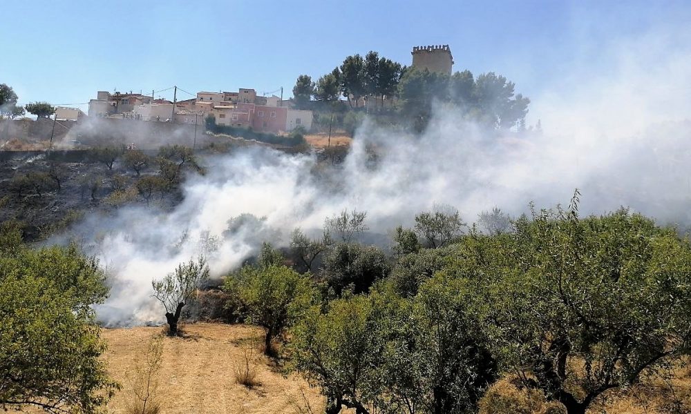 Controlado un incendio de vegetación junto al cementerio de Moratalla